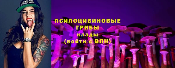 эйфоретик Балахна