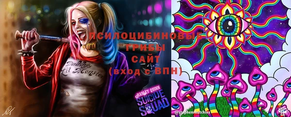 синтетический гашиш Арсеньев