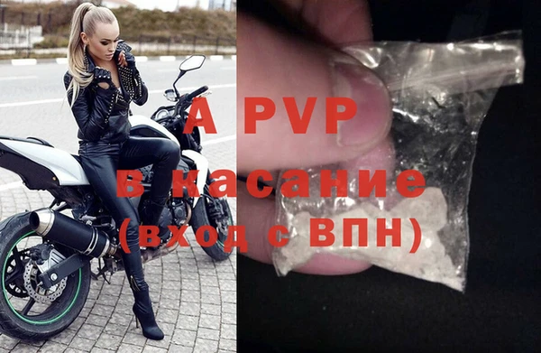 гашик Аркадак