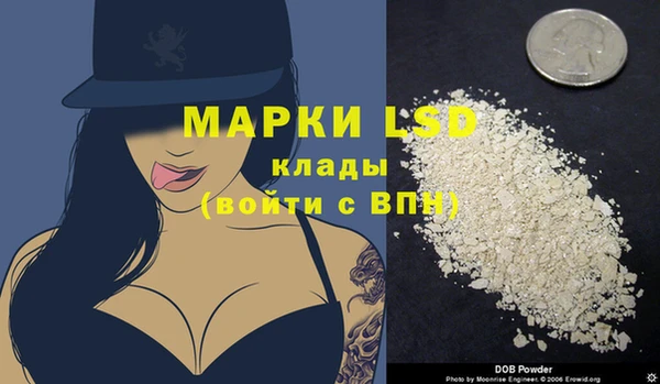 гашик Аркадак