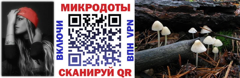 как найти наркотики Эртиль Галлюциногенные грибы MAGIC MUSHROOMS